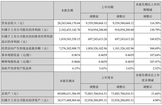 寧德時代上半年業績亮眼 凈利21.02億，動力電池系統銷售收入達168.92億